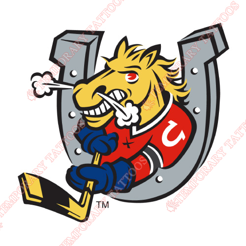 Barrie Colts Customize Temporary Tattoos Stickers NO.7310